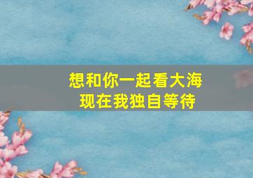 想和你一起看大海 现在我独自等待